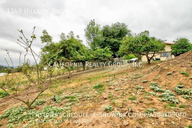 Building Photo - 1349 Hillside Dr