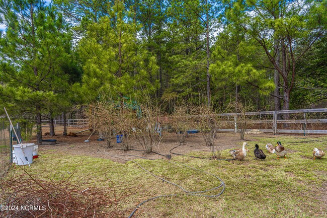 Building Photo - 309 Pinecrest Court Rd