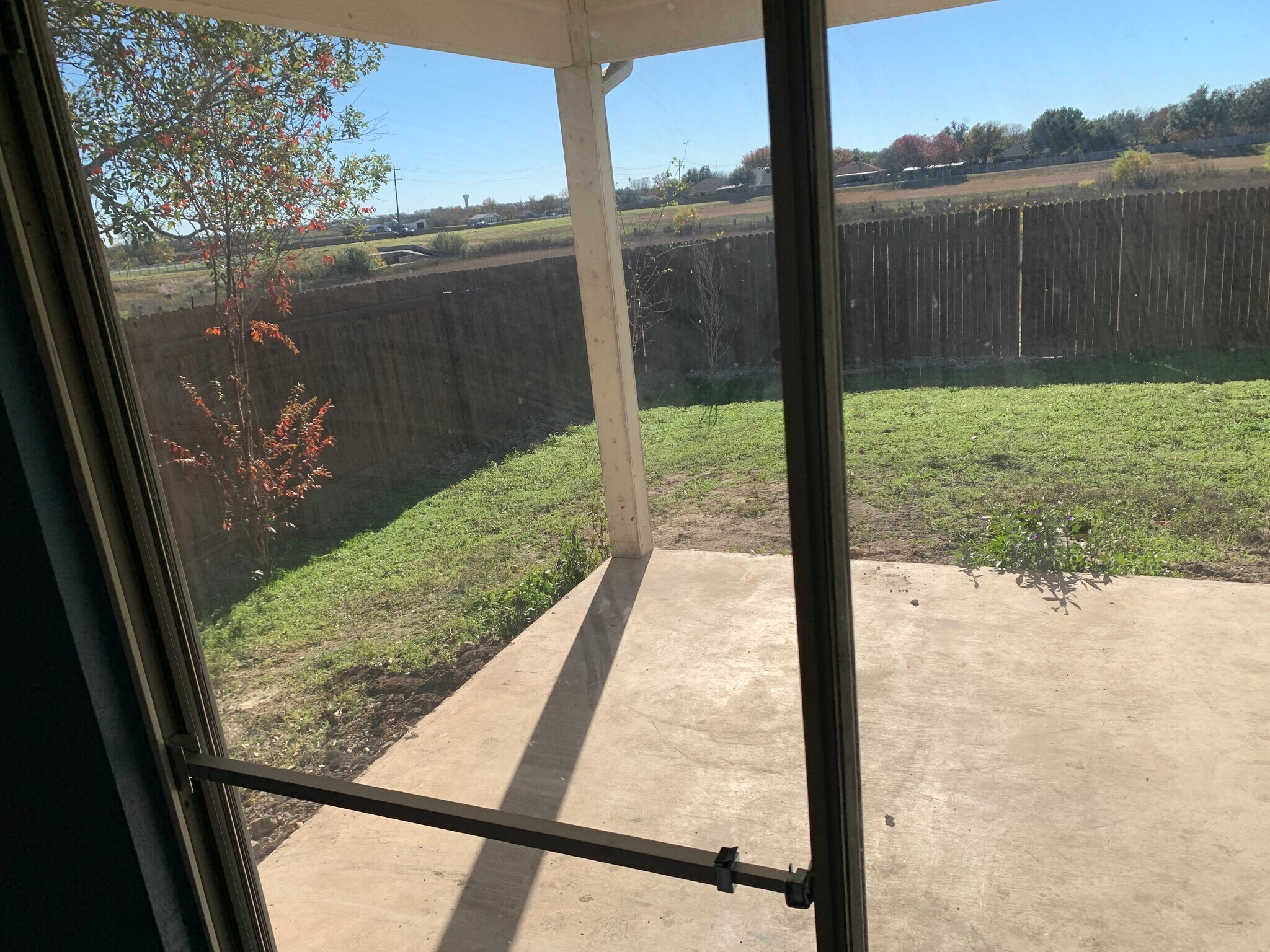 Large fenced backyard - 1050 Brutus Dr