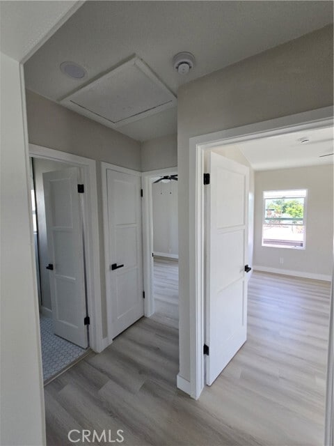 Building Photo - 3772 Ruthelen St