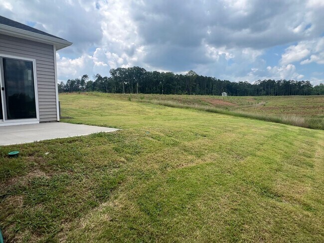 Building Photo - BRAND NEW - 3 Bed/2.5 Bath Home - Conover ...