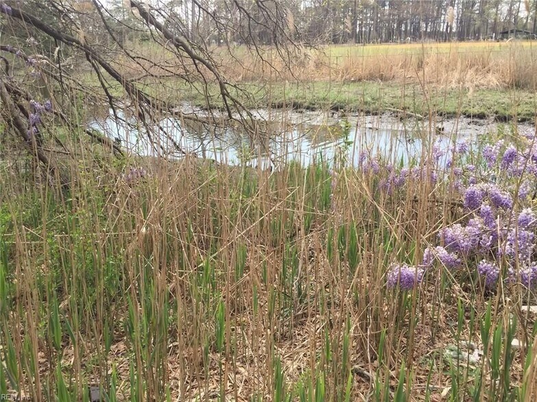 This is looking across the creek to the baseball field at the park behind the property. - 301 Pepper Mill Ct
