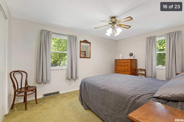 Building Photo - 3129 Windsor Dr