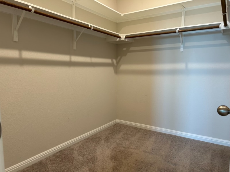 Building Photo - 109 Serpens St