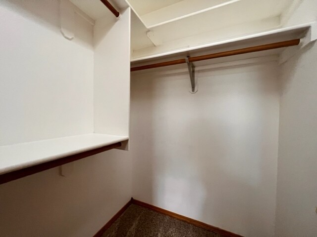 Building Photo - 5438 S Paintbrush Pl