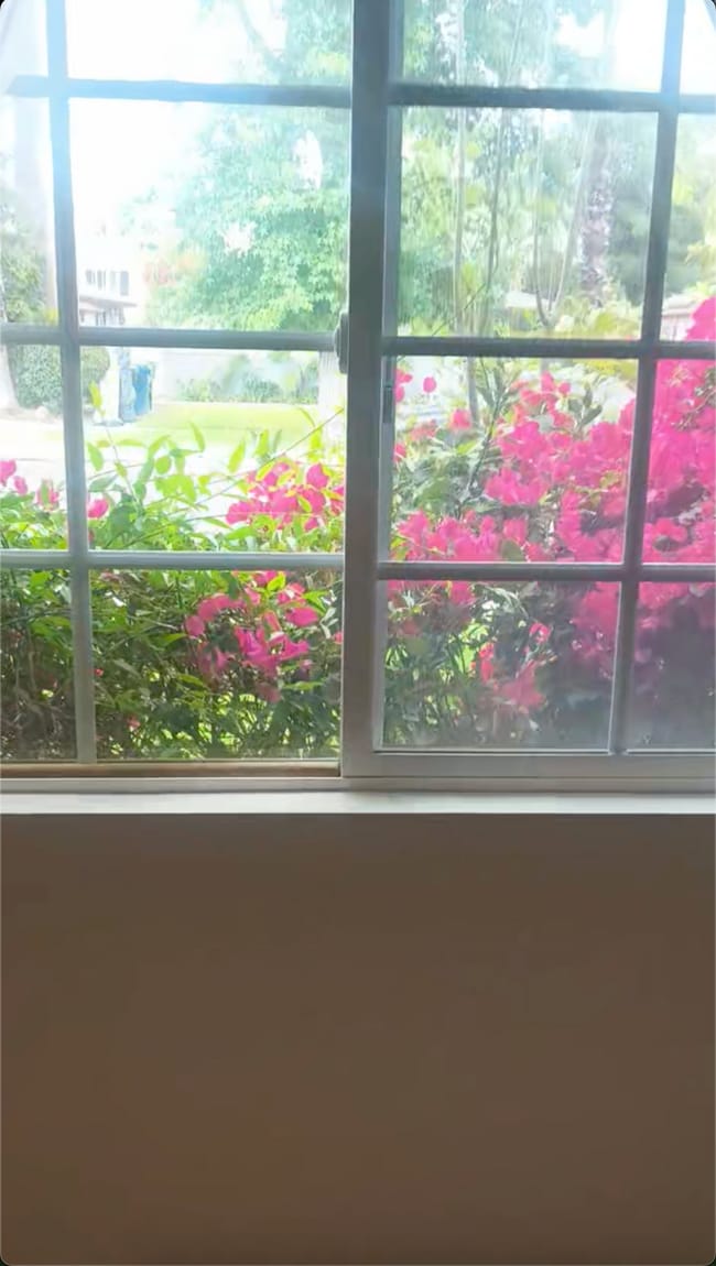 Window from bedroom - 13137 Hartland St