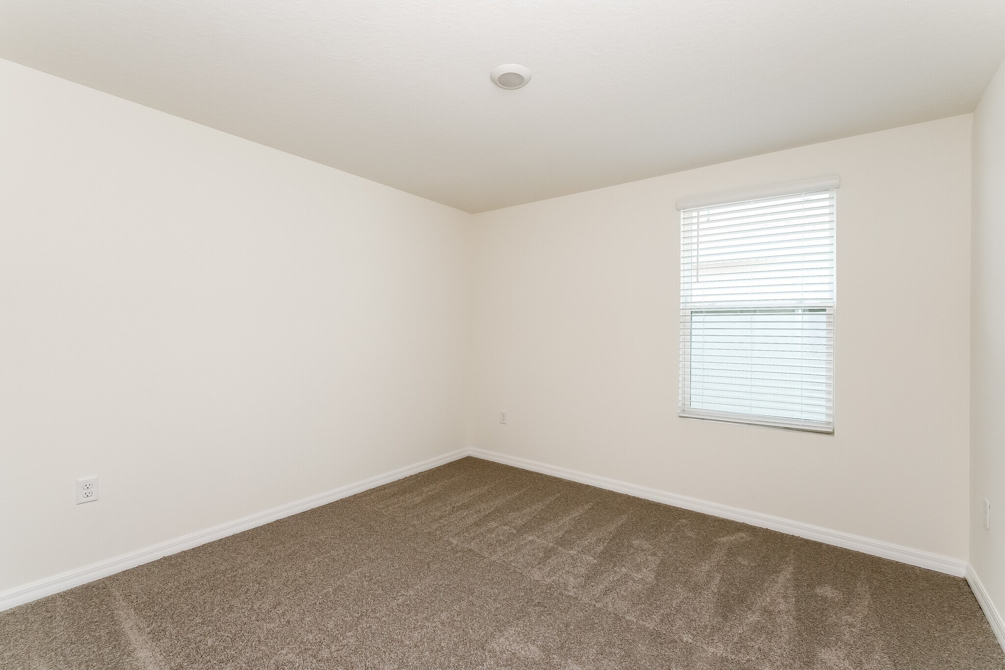 Building Photo - 486 Sunlit Coral St