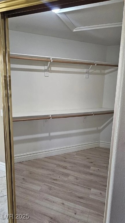 Building Photo - 351 Arbor Garden Ave