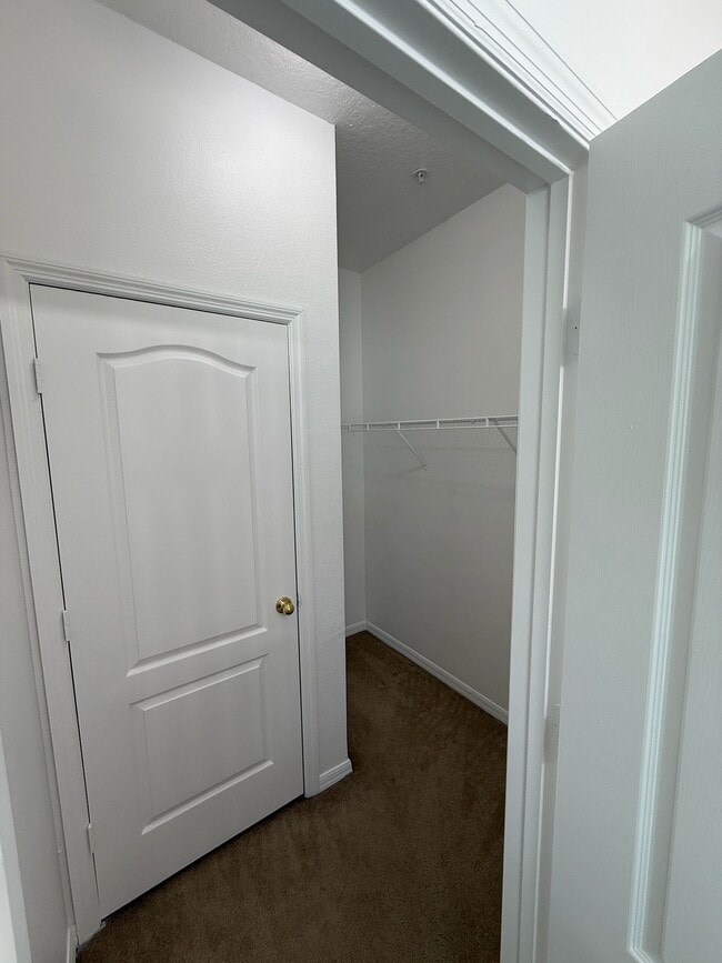 Building Photo - 1711 San Jacinto Cir