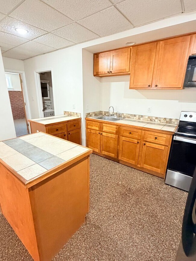 Building Photo - 3 Bed, 2 Bath Pet Friendly Downtown Asheville Location, Available Now - Lawn Care Included!