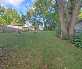 Back Yard - 818 S Jefferson St