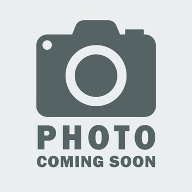 Primary Photo - MORE PICTURES TO COME! Brick Ranch on Unfi...