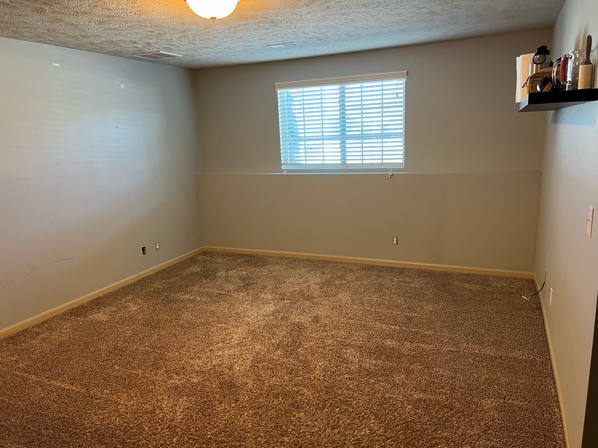 Basement - 13904 S 42nd Ave