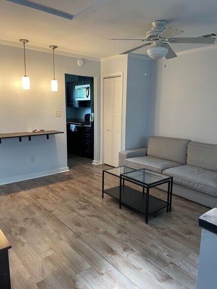 living room 2 - 815 W Pensacola St