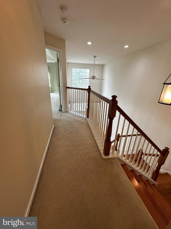 Building Photo - 147 Fringetree Dr