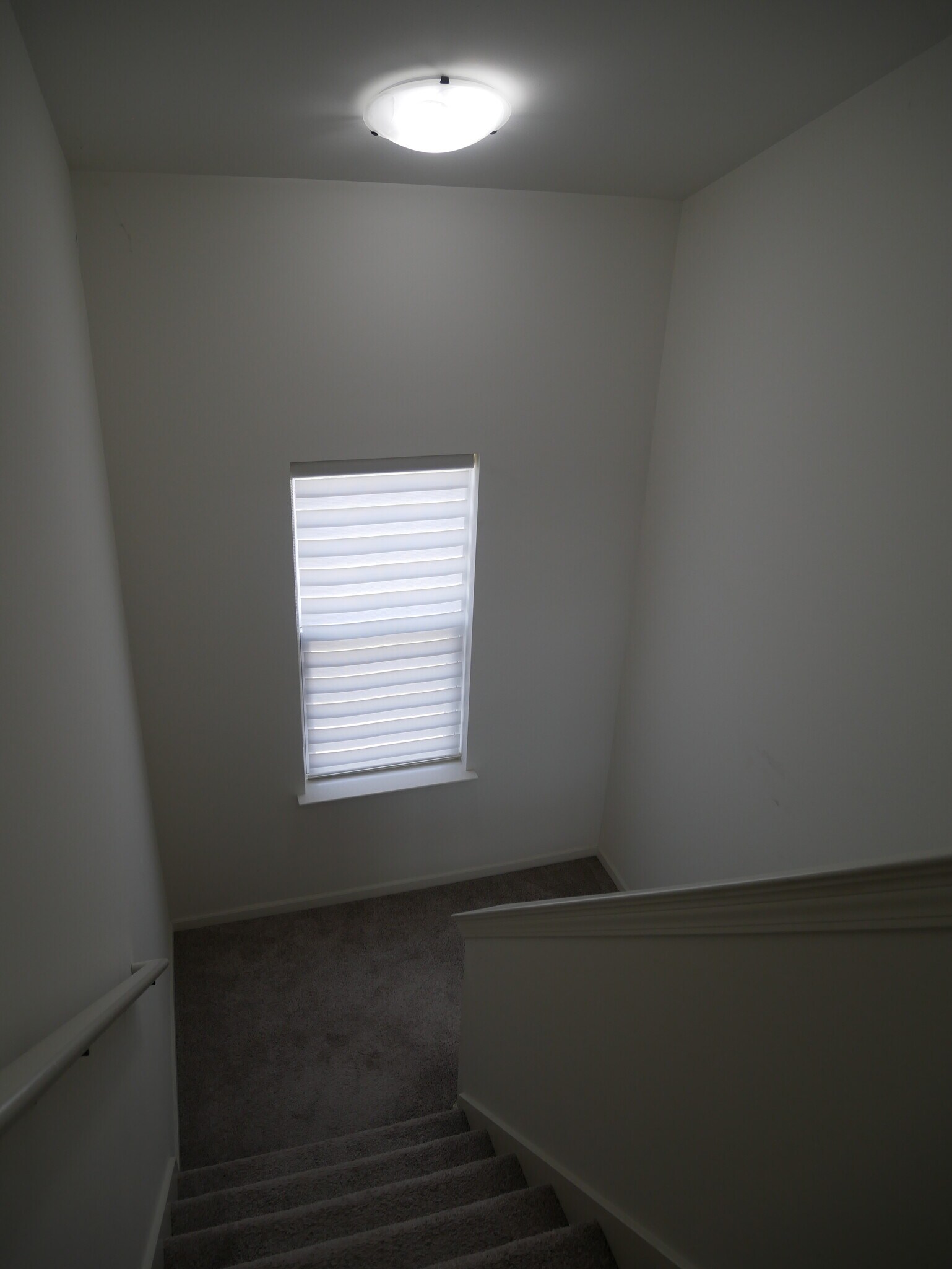 Building Photo - 4637 Bradley Cir