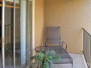 The Social Austin Tx Apartment Finder
