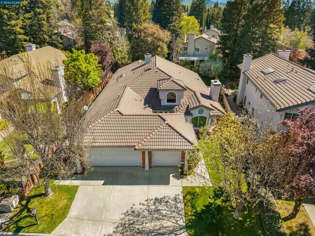 Building Photo - 313 Deepcreek Ct