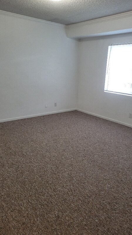 Building Photo - 1533 El Tigre Ct