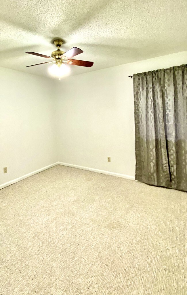 Building Photo - 220 Suppiger Ln