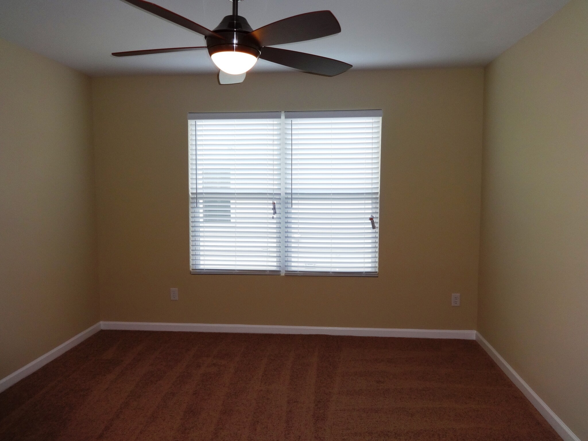 Building Photo - 3115 Conservancy Ln