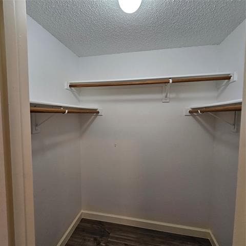 Building Photo - 2817 Oleander Dr