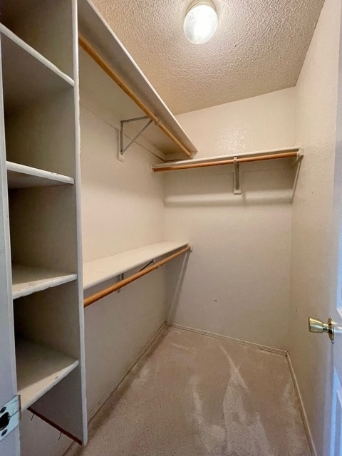Building Photo - 1456 Timberline Dr
