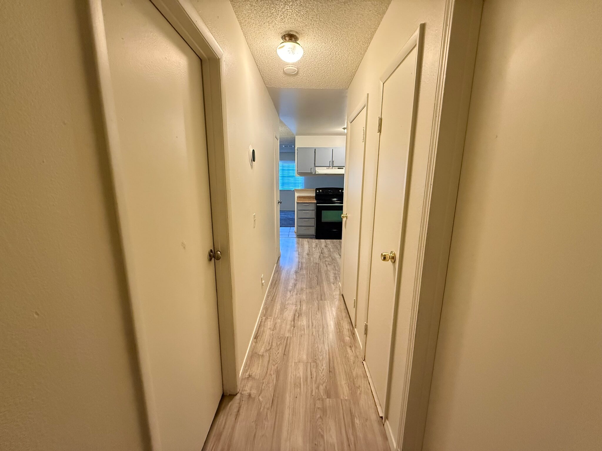 Building Photo - 4185 Solteros St