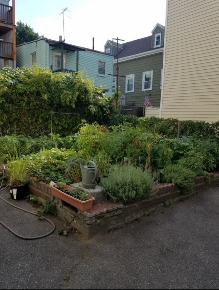 Building Photo - 291 Elm St