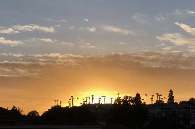 Building Photo - 7400 Altiva Pl