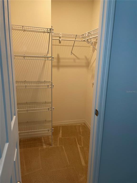 Building Photo - 14651 Bahama Swallow Boulevard