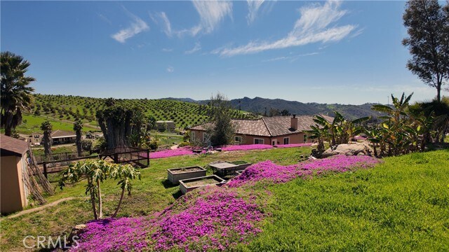 Building Photo - 31418 Cll De Talar