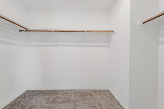 Building Photo - 894 Cadence Vw Wy