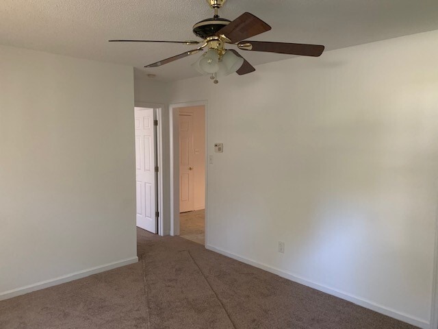 Building Photo - Beautiful 3 Bedroom Belmont Home!