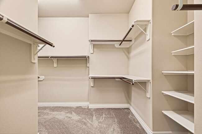 Building Photo - 3007 Tamara Creek Ln