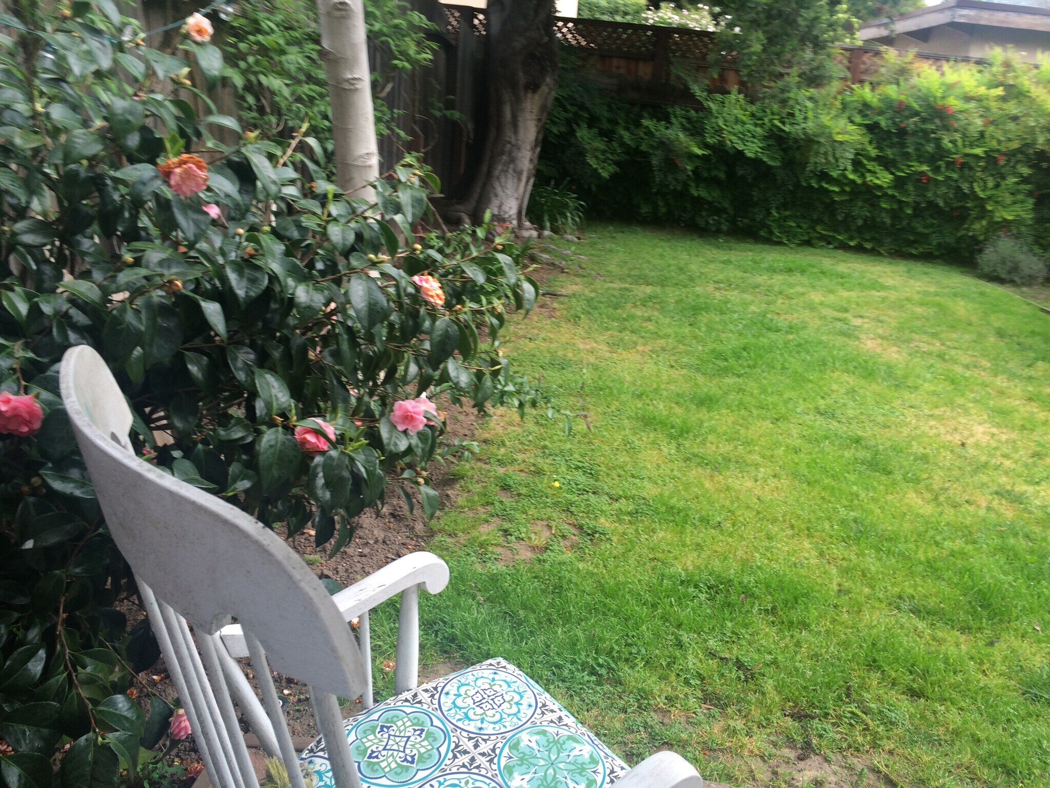 Building Photo - 1064 Fremont St