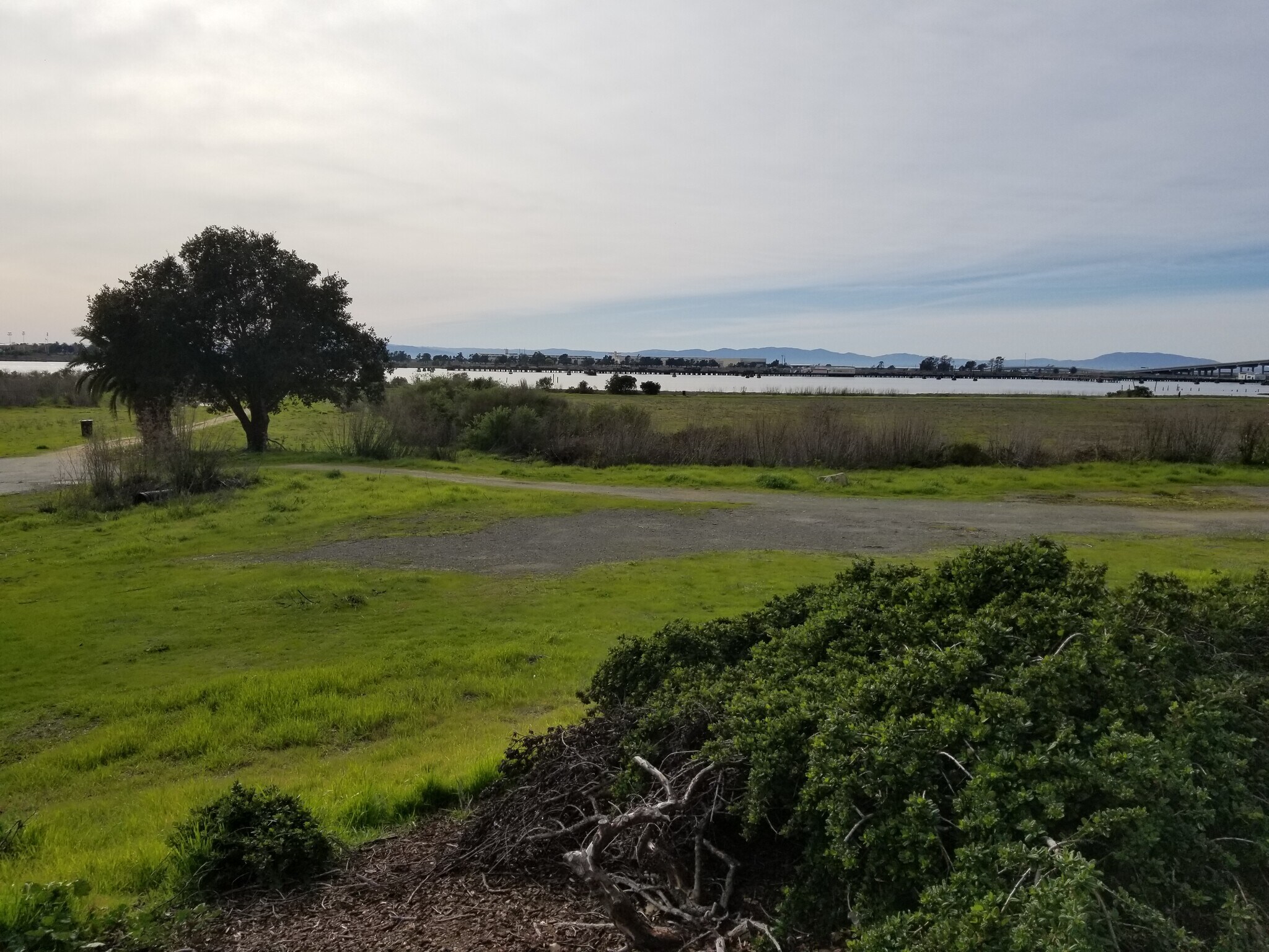 River Park - 44 Daniels Ave