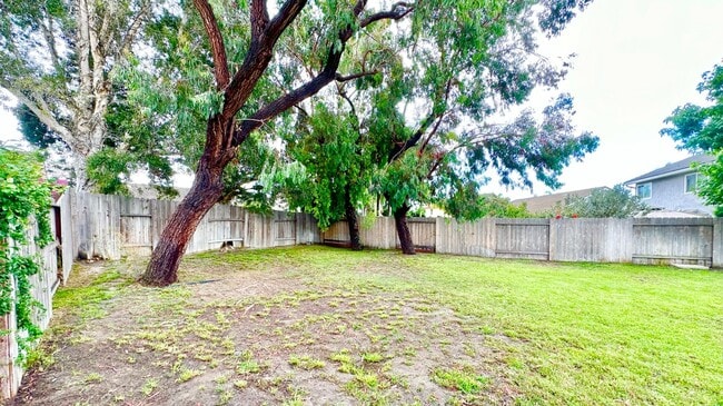 Building Photo - Charming, Single-Story Home, Spacious Backyard, Minutes to Everything, in Whelan Ranch Community ...
