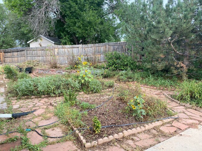 Building Photo - Rare 2BR 1BA Home with extra large 2 Car G...