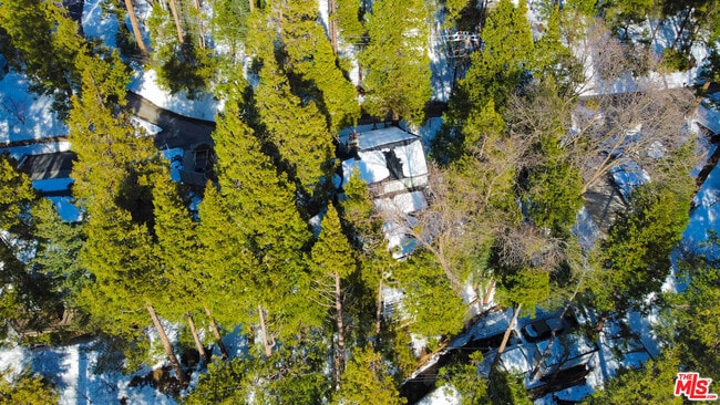 Building Photo - 233 Corona Cir