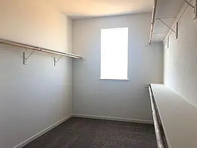 Building Photo - 4439 Flannelbush Dr