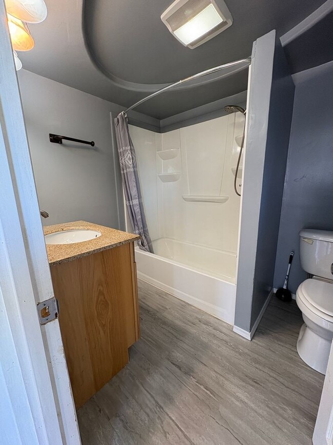 Building Photo - Cozy studio