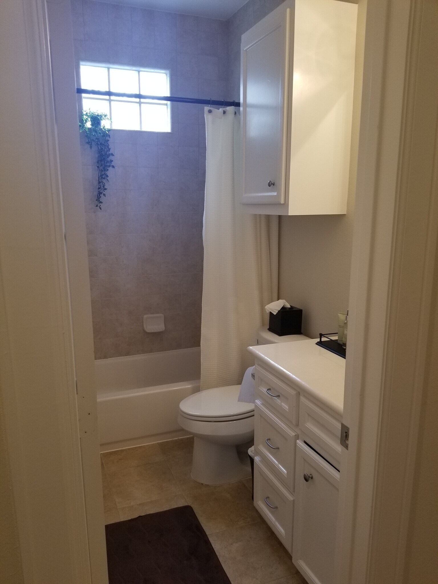 Full Bath (Downstairs) - 3709 Main Plaza Dr
