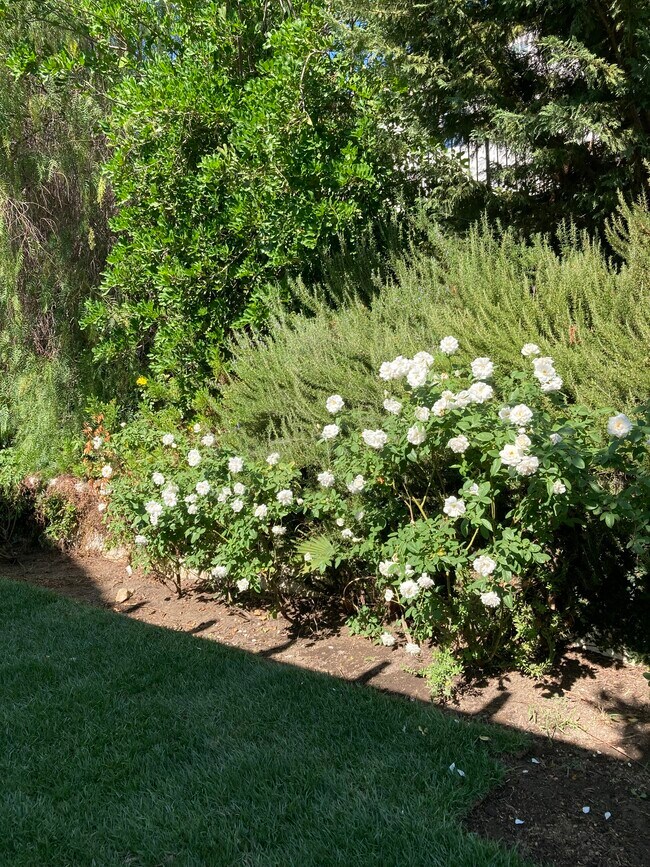 Building Photo - 45374 Willowick St