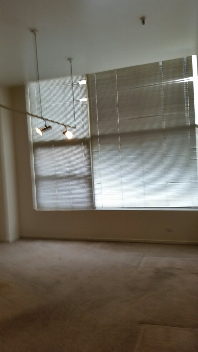 Building Photo - Neusteters Loft - 1 Bedroom - (720-16th#304)