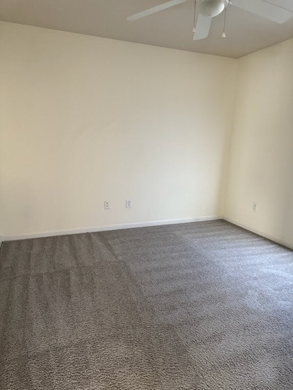 Building Photo - 2809 Fountaingrass Ln