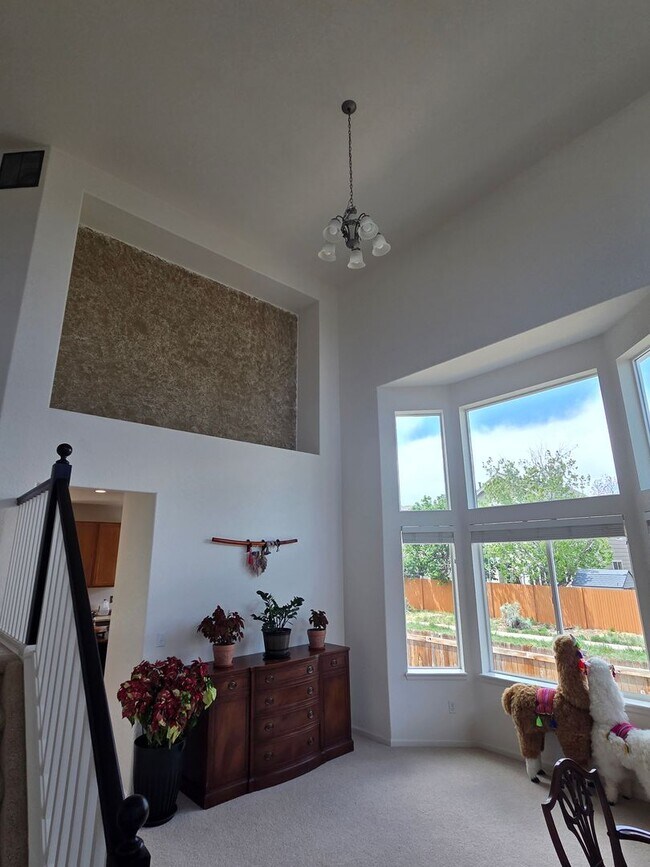 Building Photo - Fantastic Castle Rock 4 Bed 2 1/2 Bath Founders Village Home