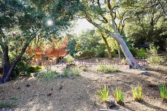 Building Photo - Quality Novato Home With Great Floorplan N...