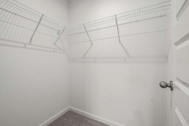 Building Photo - 5339 Bellflower Hls