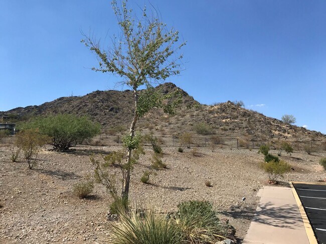 Building Photo - 2 bed + Bonus Room/Loft and 2 car garage